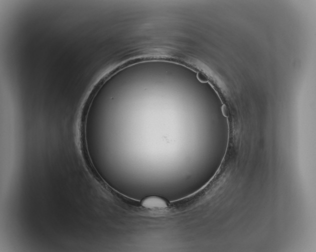 X0000102261085200807251324