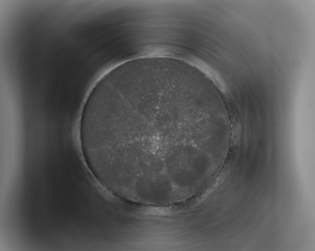 X0000102261086200807251324