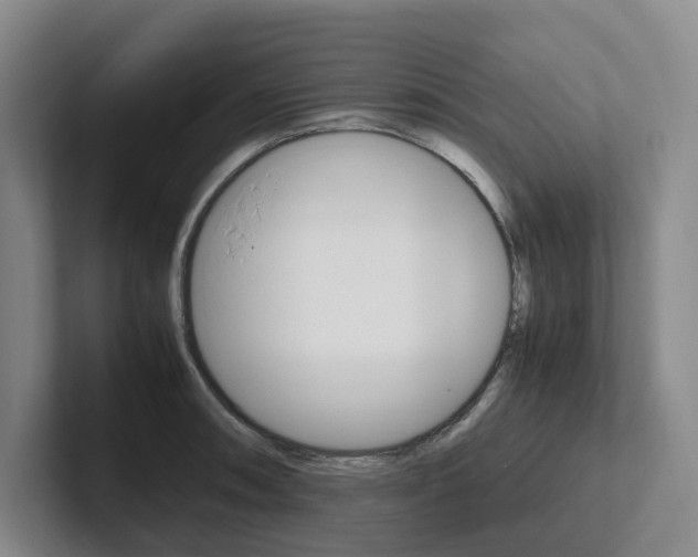 X0000102261090200807251324