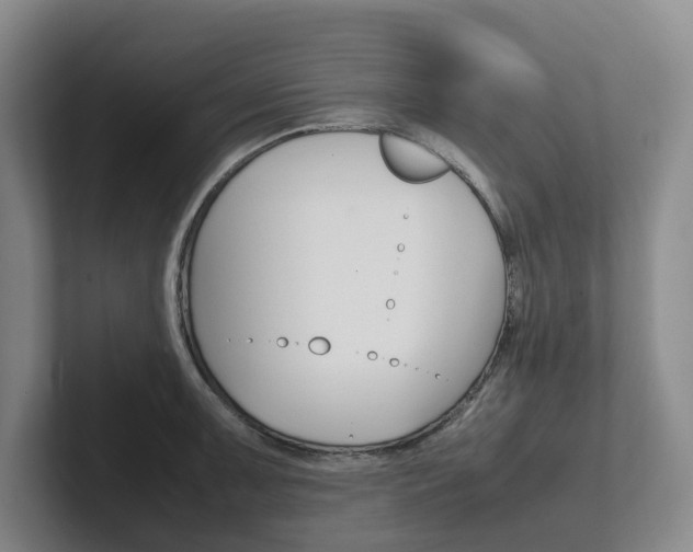 X0000102261091200807251324
