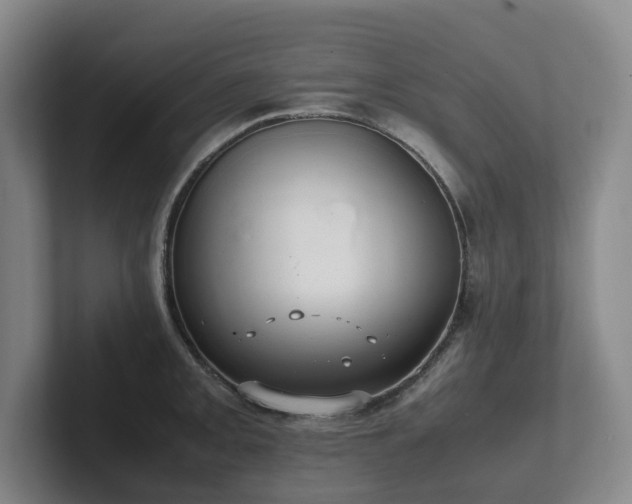 X0000102261093200807251324
