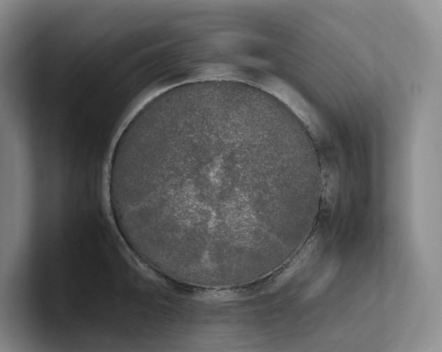 X0000102261094200807251324