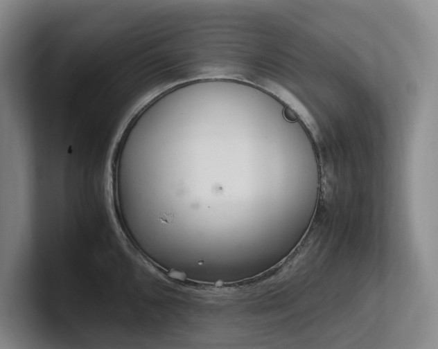 X0000102261096200807251324