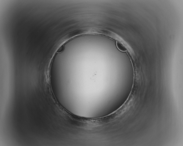 X0000102261097200807251324