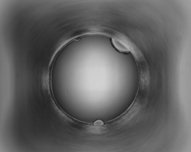 X0000102261100200807251324