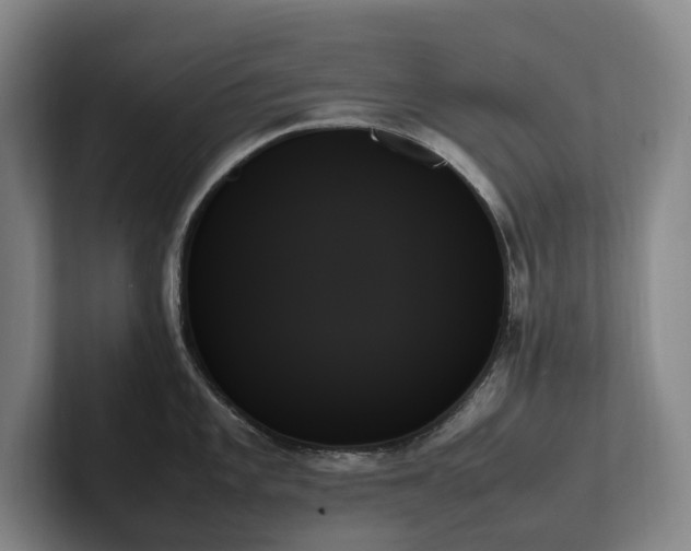 X0000102261101200807251324