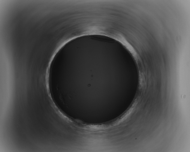 X0000102261102200807251324