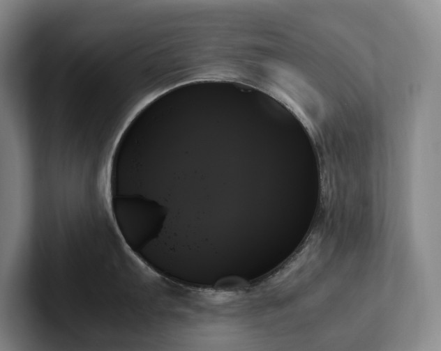X0000102261103200807251324