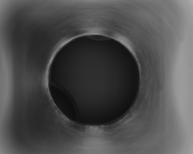 X0000102261104200807251324