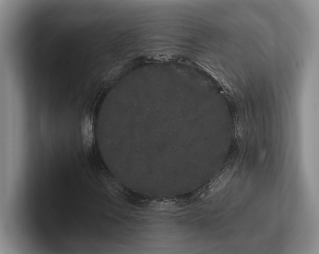 X0000102261106200807251324