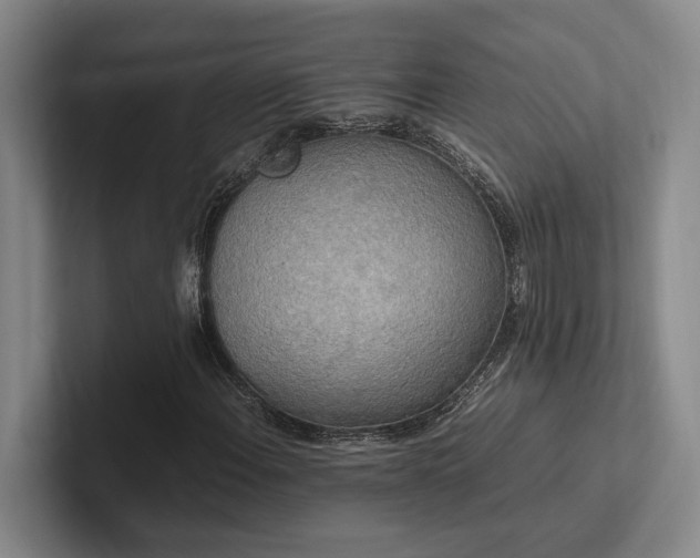 X0000102261108200807251324