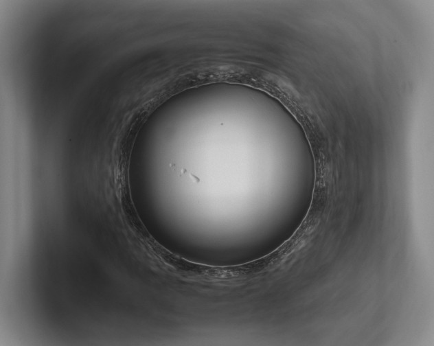 X0000102261109200807251324