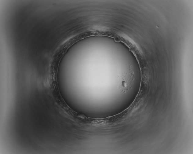 X0000102261112200807251324