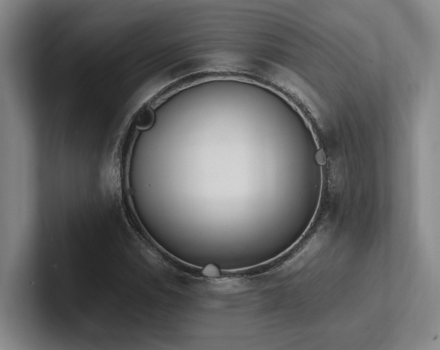 X0000102261114200807251324