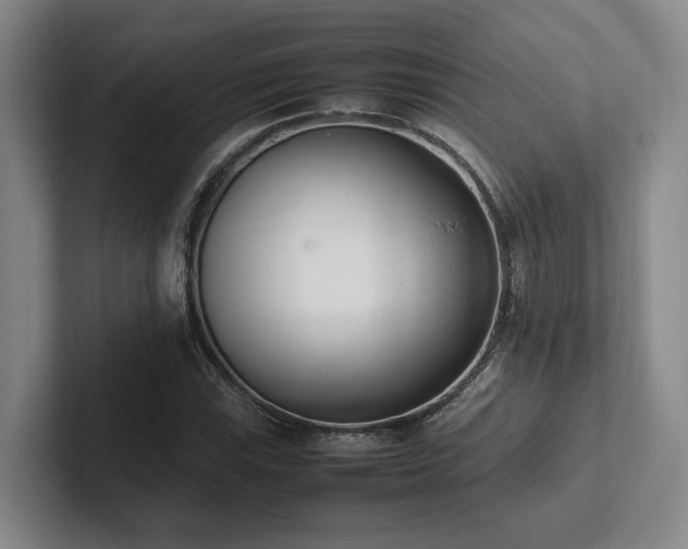 X0000102261115200807251324