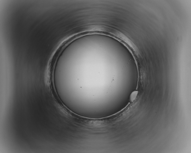 X0000102261116200807251324