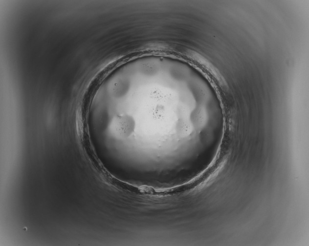X0000102261117200807251324