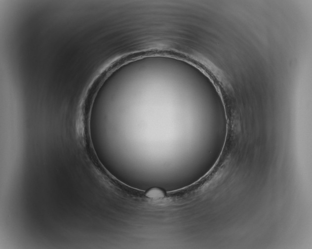 X0000102261118200807251324