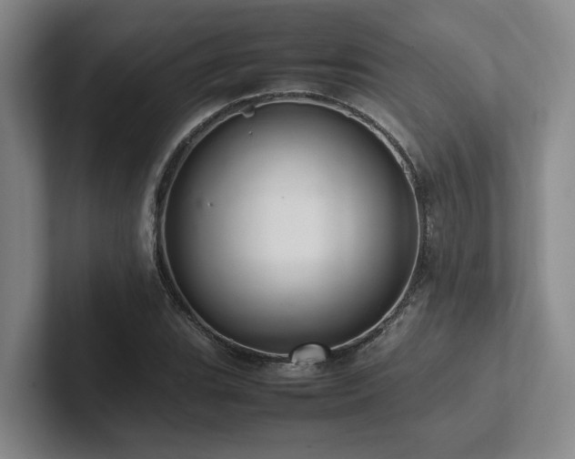 X0000102261119200807251324