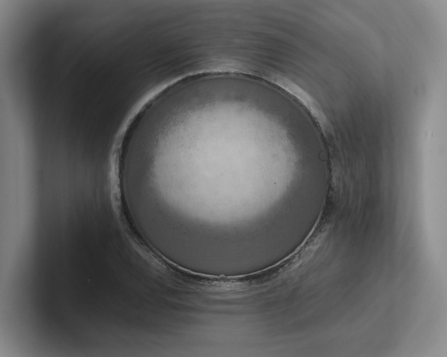 X0000102261120200807251324