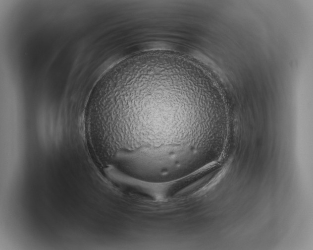 X0000102261121200807251324