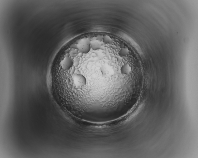 X0000102261125200807251324