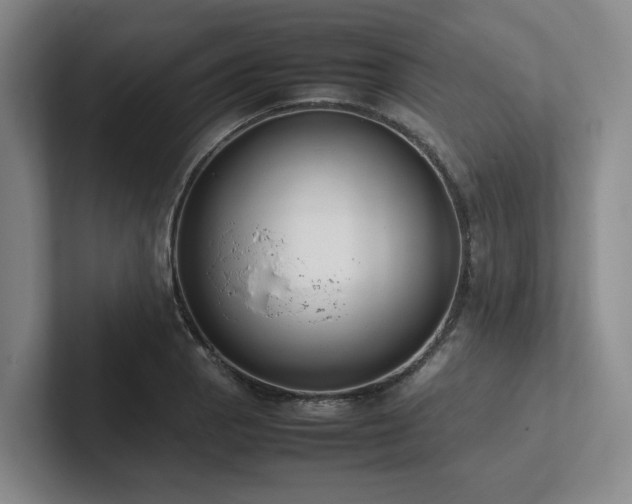 X0000102261129200807251324