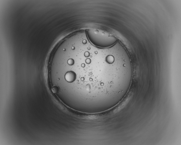 X0000102261130200807251324