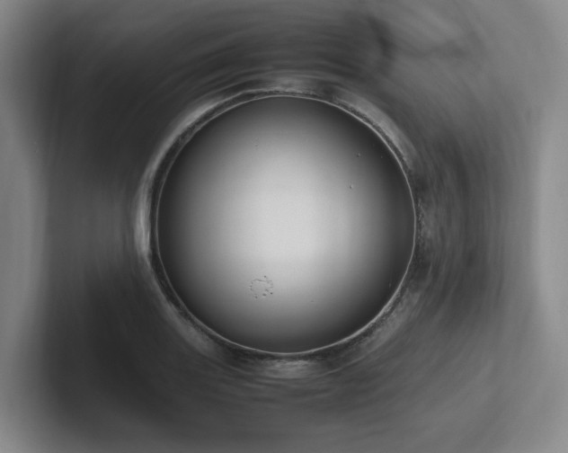 X0000102261131200807251324