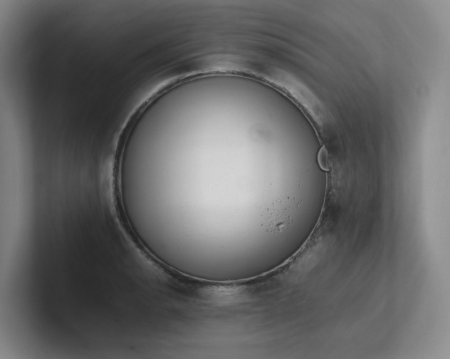 X0000102261134200807251324