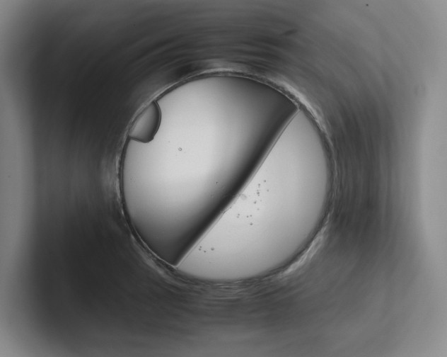 X0000102261137200807251324