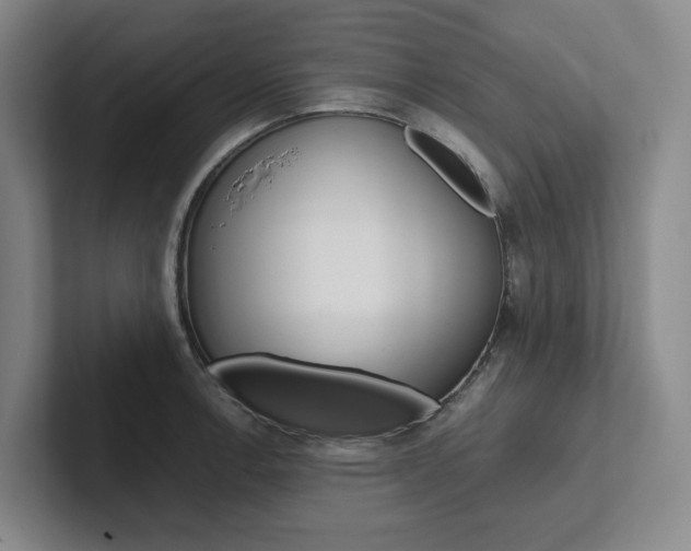 X0000102261138200807251324