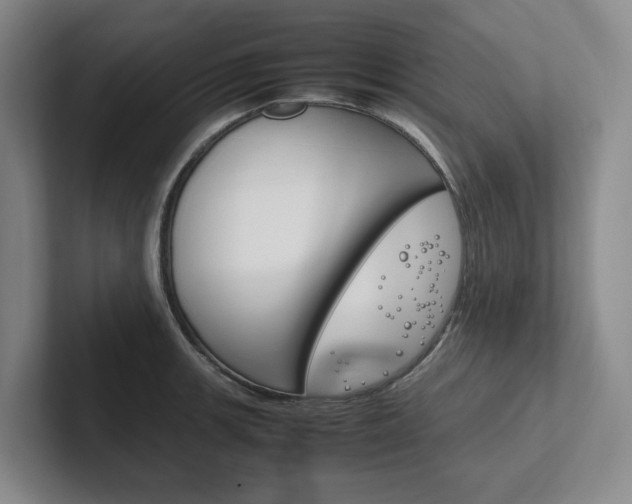 X0000102261139200807251324