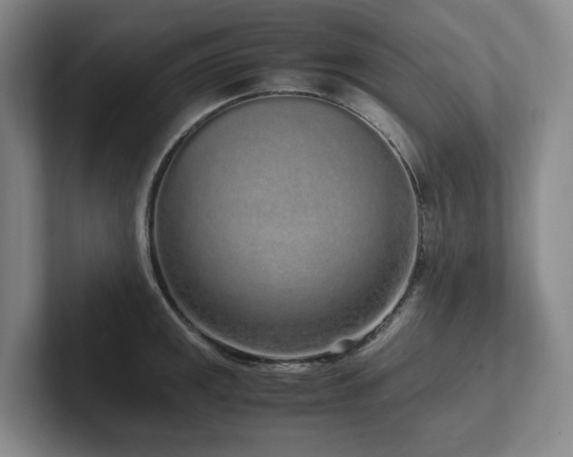 X0000102261141200807251324