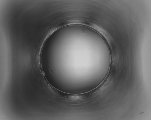 X0000102261145200807251324