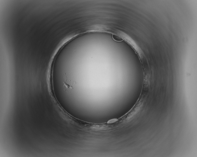 X0000102261146200807251324