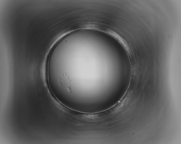 X0000102261147200807251324