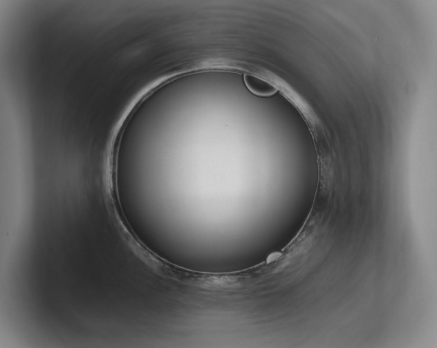 X0000102261148200807251324