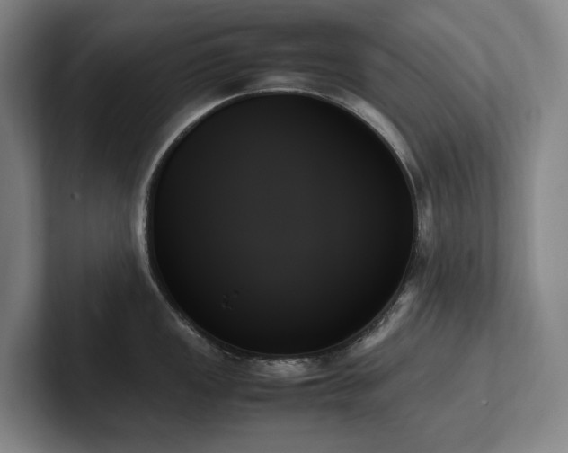 X0000102261149200807251324
