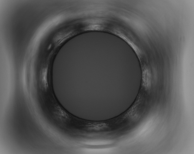 X0000102261150200807251324