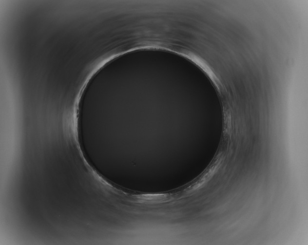X0000102261151200807251324