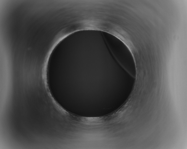 X0000102261152200807251324