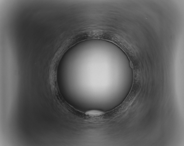 X0000102261153200807251324
