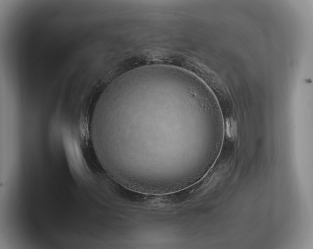 X0000102261155200807251324