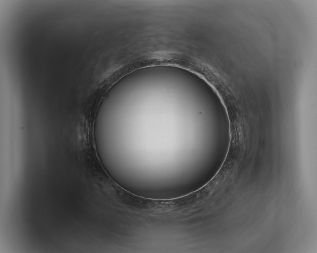 X0000102261158200807251324