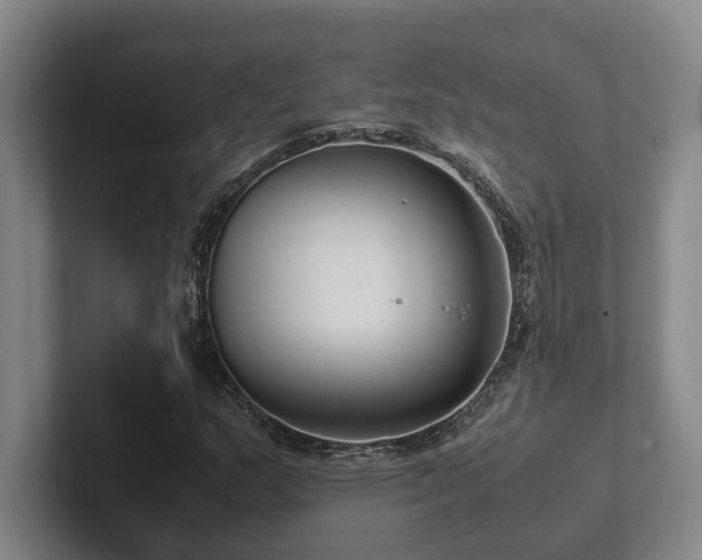 X0000102261159200807251324