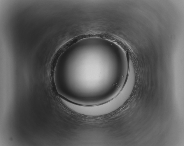 X0000102261160200807251323