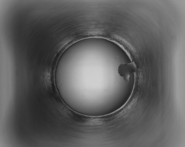 X0000102261162200807251323
