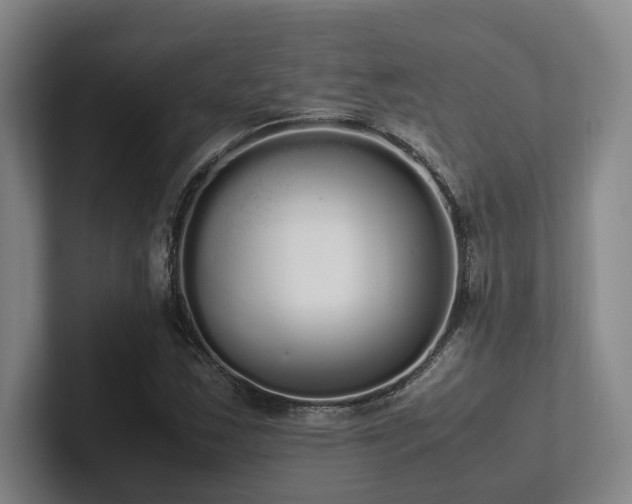 X0000102261163200807251323
