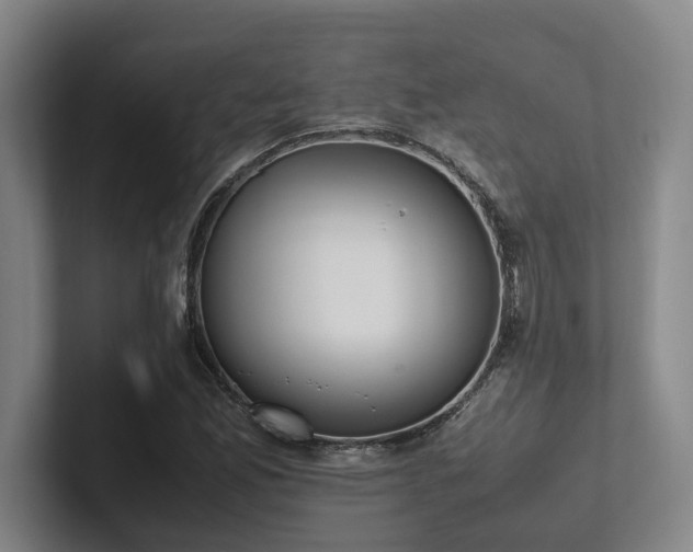 X0000102261165200807251323